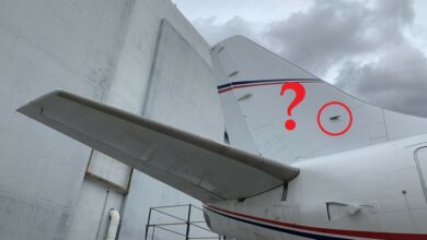 Why does B737 have pitot tubes on vertical stabilizier?
